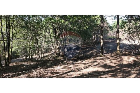 Terra a Caldelas, Braga, Caldelas - € 39.900 | Ref: 126971021-7 - foto 28
