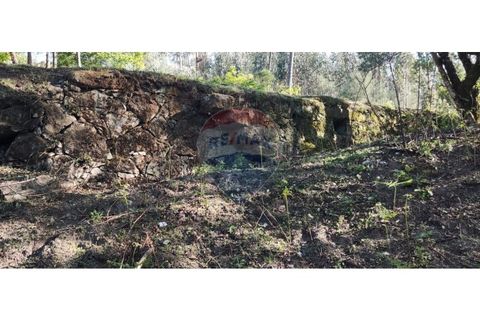 Terra a Caldelas, Braga, Caldelas - € 39.900 | Ref: 126971021-7 - foto 29