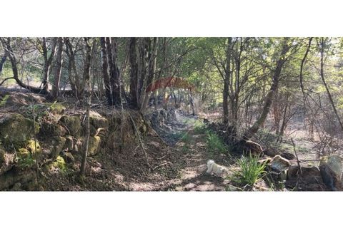 Terra a Caldelas, Braga, Caldelas - € 39.900 | Ref: 126971021-7 - foto 30