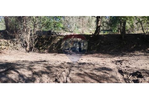 Terra a Caldelas, Braga, Caldelas - € 39.900 | Ref: 126971021-7 - foto 34