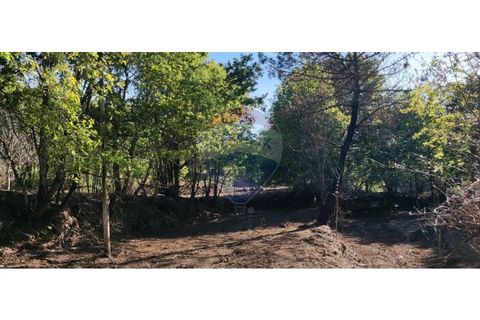 Terra a Caldelas, Braga, Caldelas - € 39.900 | Ref: 126971021-7 - foto 35