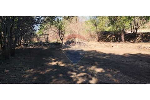 Terra a Caldelas, Braga, Caldelas - € 39.900 | Ref: 126971021-7 - foto 36