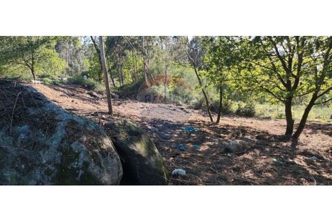 Terra a Caldelas, Braga, Caldelas - € 39.900 | Ref: 126971021-7 - foto 37