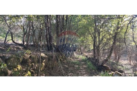 Terra a Caldelas, Braga, Caldelas - € 39.900 | Ref: 126971021-7 - foto 39