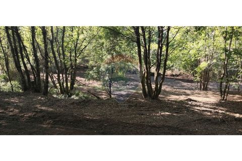 Terra a Caldelas, Braga, Caldelas - € 39.900 | Ref: 126971021-7 - foto 40