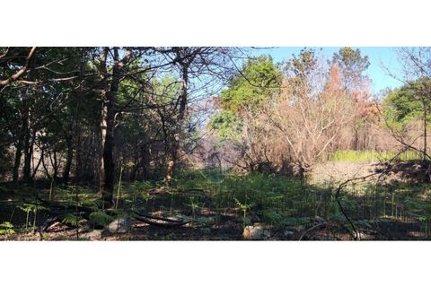Terra a Caldelas, Braga, Caldelas - € 39.900 | Ref: 126971021-7 - foto 42