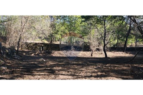 Terra a Caldelas, Braga, Caldelas - € 39.900 | Ref: 126971021-7 - foto 43