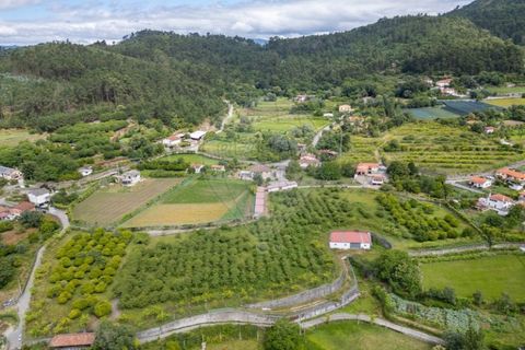 Villa i Caires, Braga, Caires - € 699.000 | Ref: 126971021-31 - foto 4