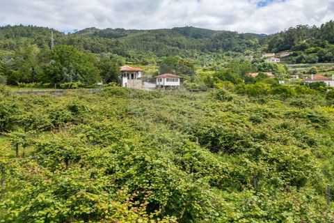 Villa i Caires, Braga, Caires - € 699.000 | Ref: 126971021-31 - foto 8