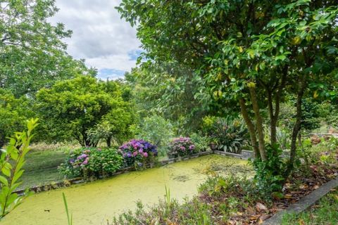 Villa i Caires, Braga, Caires - € 699.000 | Ref: 126971021-31 - foto 43