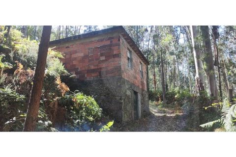 Helårsgrund i Chorense e Monte, Braga, Chorense e Monte - € 36.500 | Ref: 126971007-9 - foto 21
