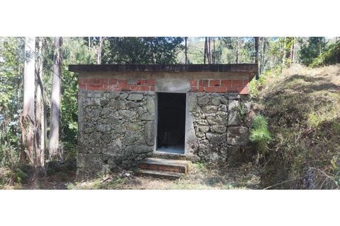 Helårsgrund i Chorense e Monte, Braga, Chorense e Monte - € 36.500 | Ref: 126971007-9 - foto 22