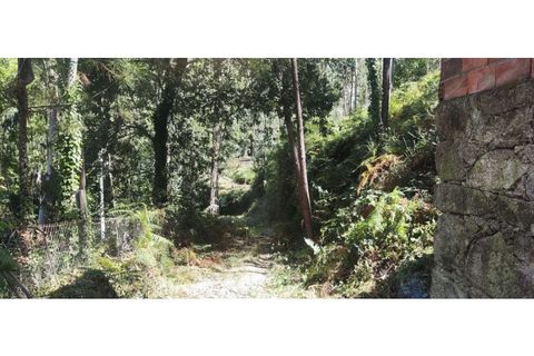 Helårsgrund i Chorense e Monte, Braga, Chorense e Monte - € 36.500 | Ref: 126971007-9 - foto 23