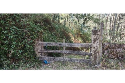 Helårsgrund i Chorense e Monte, Braga, Chorense e Monte - € 36.500 | Ref: 126971007-9 - foto 25