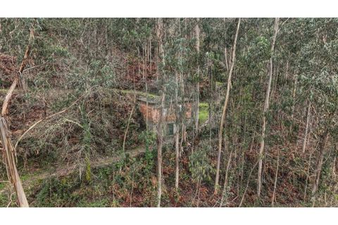 Helårsgrund i Chorense e Monte, Braga, Chorense e Monte - € 36.500 | Ref: 126971007-9 - foto 14