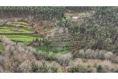Helårsgrund i Chorense e Monte, Braga, Chorense e Monte - € 36.500 | Ref: 126971007-9 - foto 6
