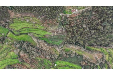 Helårsgrund i Chorense e Monte, Braga, Chorense e Monte - € 36.500 | Ref: 126971007-9 - foto 4
