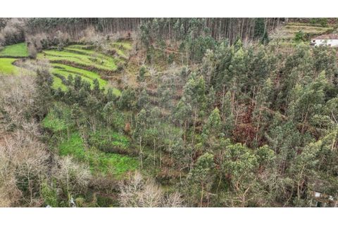Helårsgrund i Chorense e Monte, Braga, Chorense e Monte - € 36.500 | Ref: 126971007-9 - foto 15