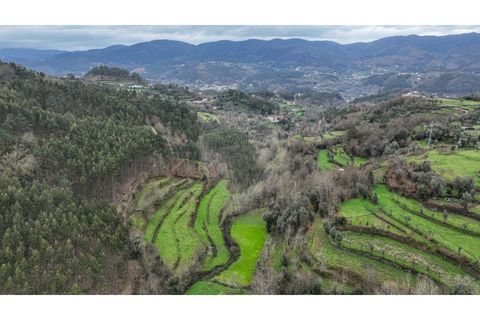 Helårsgrund i Chorense e Monte, Braga, Chorense e Monte - € 36.500 | Ref: 126971007-9 - foto 5