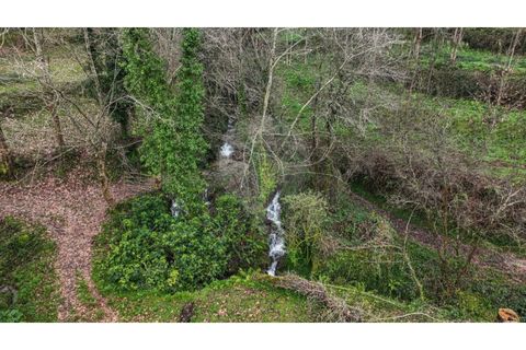 Helårsgrund i Chorense e Monte, Braga, Chorense e Monte - € 36.500 | Ref: 126971007-9 - foto 10