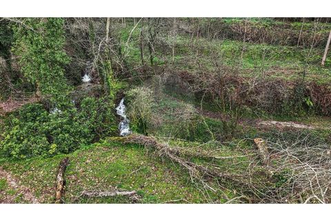 Helårsgrund i Chorense e Monte, Braga, Chorense e Monte - € 36.500 | Ref: 126971007-9 - foto 11