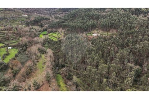Helårsgrund i Chorense e Monte, Braga, Chorense e Monte - € 36.500 | Ref: 126971007-9 - foto 18