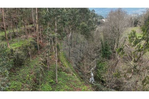 Helårsgrund i Chorense e Monte, Braga, Chorense e Monte - € 36.500 | Ref: 126971007-9 - foto 13