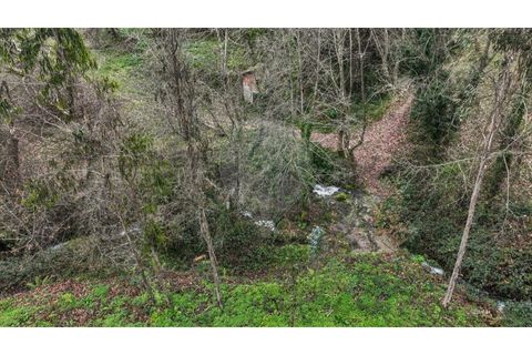 Helårsgrund i Chorense e Monte, Braga, Chorense e Monte - € 36.500 | Ref: 126971007-9 - foto 12