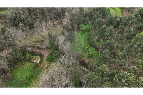 Helårsgrund i Chorense e Monte, Braga, Chorense e Monte - € 36.500 | Ref: 126971007-9 - foto 9