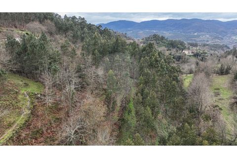 Helårsgrund i Chorense e Monte, Braga, Chorense e Monte - € 36.500 | Ref: 126971007-9 - foto 8
