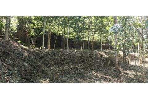 Helårsgrund i Chorense e Monte, Braga, Chorense e Monte - € 36.500 | Ref: 126971007-9 - foto 26