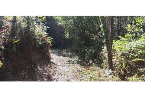 Helårsgrund i Chorense e Monte, Braga, Chorense e Monte - € 36.500 | Ref: 126971007-9 - foto 27