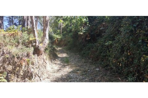 Helårsgrund i Chorense e Monte, Braga, Chorense e Monte - € 36.500 | Ref: 126971007-9 - foto 28