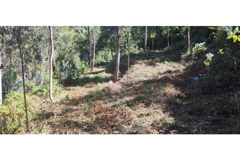 Helårsgrund i Chorense e Monte, Braga, Chorense e Monte - € 36.500 | Ref: 126971007-9 - foto 29