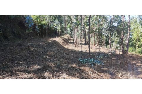Helårsgrund i Chorense e Monte, Braga, Chorense e Monte - € 36.500 | Ref: 126971007-9 - foto 30