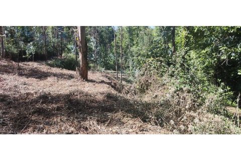 Helårsgrund i Chorense e Monte, Braga, Chorense e Monte - € 36.500 | Ref: 126971007-9 - foto 31
