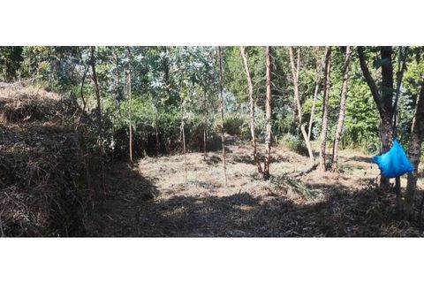 Helårsgrund i Chorense e Monte, Braga, Chorense e Monte - € 36.500 | Ref: 126971007-9 - foto 33