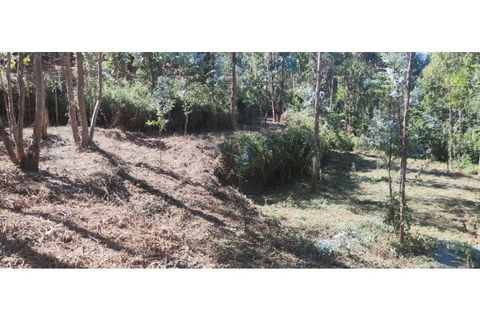 Helårsgrund i Chorense e Monte, Braga, Chorense e Monte - € 36.500 | Ref: 126971007-9 - foto 34