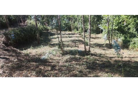 Helårsgrund i Chorense e Monte, Braga, Chorense e Monte - € 36.500 | Ref: 126971007-9 - foto 35