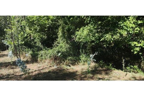 Helårsgrund i Chorense e Monte, Braga, Chorense e Monte - € 36.500 | Ref: 126971007-9 - foto 37