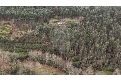 Helårsgrund i Chorense e Monte, Braga, Chorense e Monte - € 36.500 | Ref: 126971007-9 - foto 16