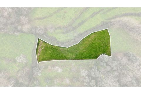 Helårsgrund i Chorense e Monte, Braga, Chorense e Monte - € 36.500 | Ref: 126971007-9 - foto 3