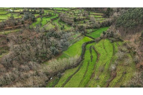Helårsgrund i Chorense e Monte, Braga, Chorense e Monte - € 36.500 | Ref: 126971007-9 - foto 19