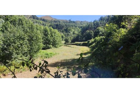Helårsgrund i Chorense e Monte, Braga, Chorense e Monte - € 36.500 | Ref: 126971007-9 - foto 39