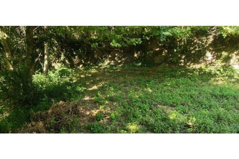 Helårsgrund i Chorense e Monte, Braga, Chorense e Monte - € 36.500 | Ref: 126971007-9 - foto 40