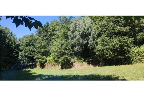 Helårsgrund i Chorense e Monte, Braga, Chorense e Monte - € 36.500 | Ref: 126971007-9 - foto 41