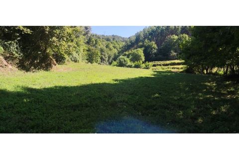 Helårsgrund i Chorense e Monte, Braga, Chorense e Monte - € 36.500 | Ref: 126971007-9 - foto 43
