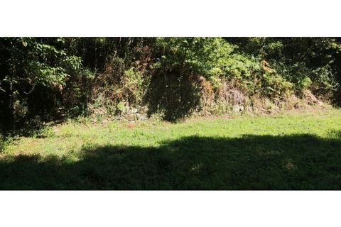 Helårsgrund i Chorense e Monte, Braga, Chorense e Monte - € 36.500 | Ref: 126971007-9 - foto 44