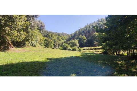 Helårsgrund i Chorense e Monte, Braga, Chorense e Monte - € 36.500 | Ref: 126971007-9 - foto 45