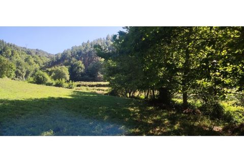 Helårsgrund i Chorense e Monte, Braga, Chorense e Monte - € 36.500 | Ref: 126971007-9 - foto 46